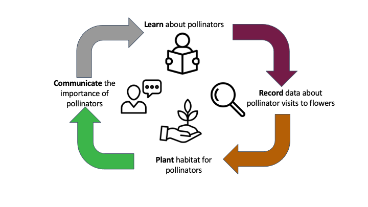 Actionable Citizen Science cycle